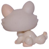 #0848 Crouching Kitten